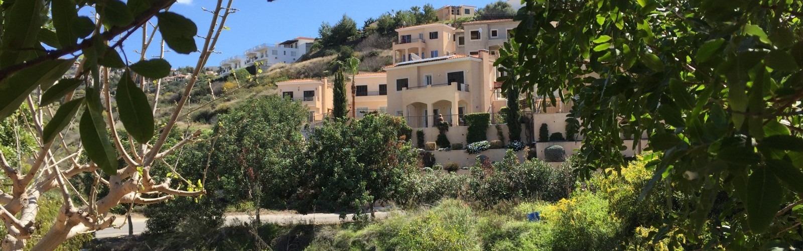 Tala