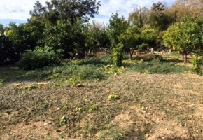 Земля под застройку  На продажу  in Anavargos, Пафос - SL169